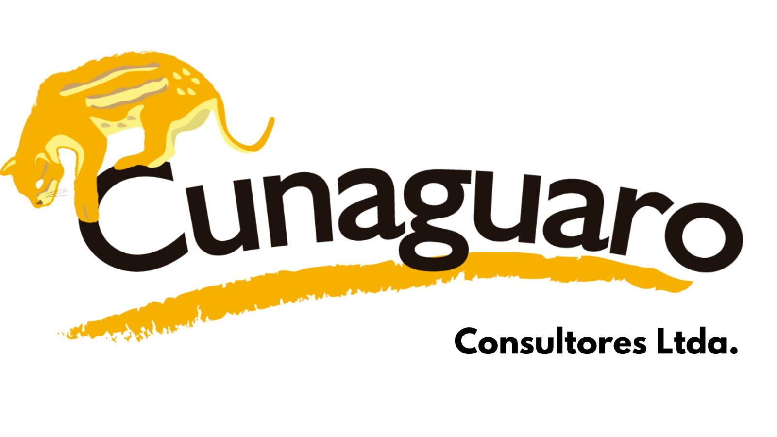 Cunaguaro Consultores